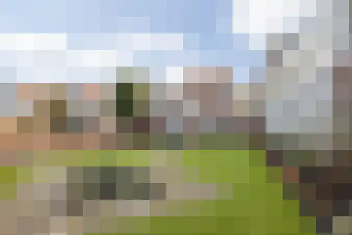 Parksingel 24 Tholen thumbnail 29