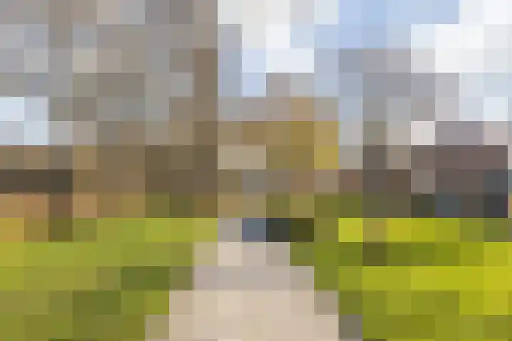Parksingel 24 Tholen thumbnail 38
