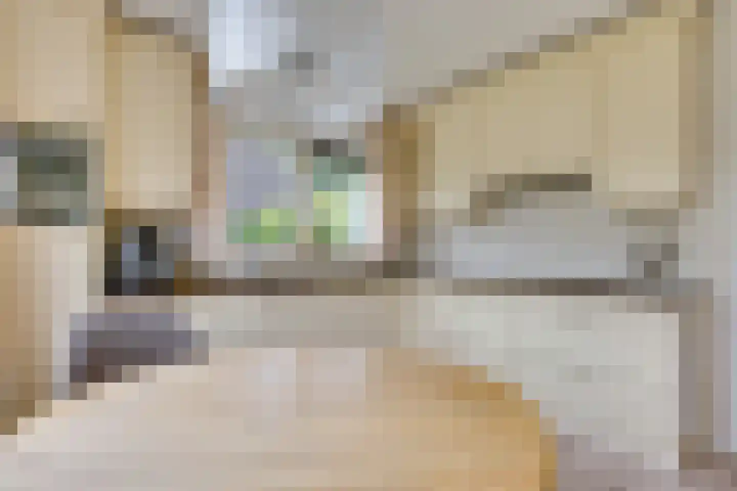 Parksingel 40 Biddinghuizen thumbnail 23