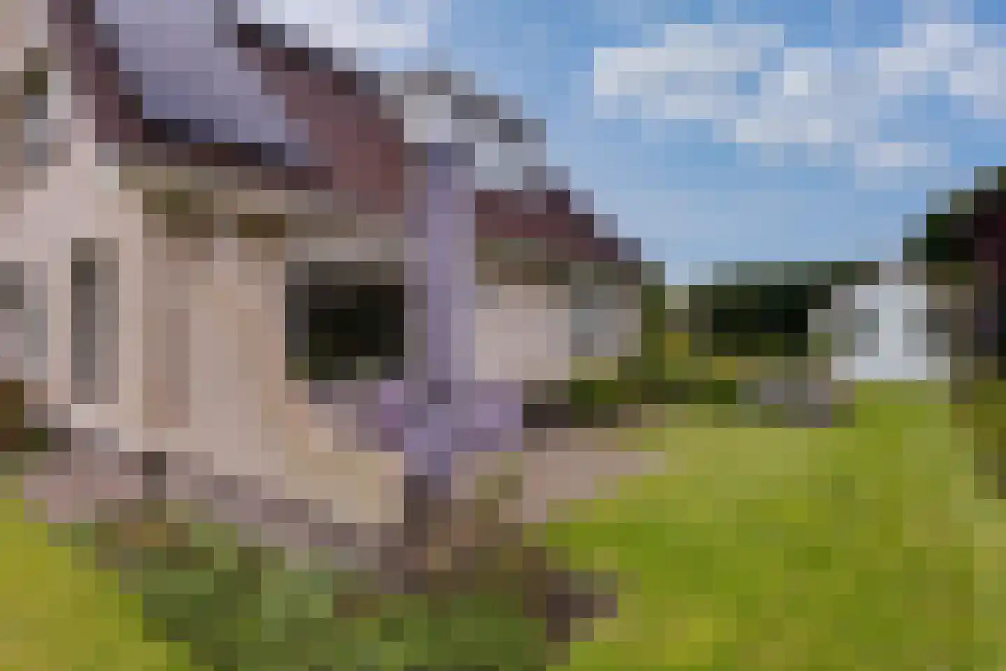 Parksingel 40 Biddinghuizen thumbnail 41