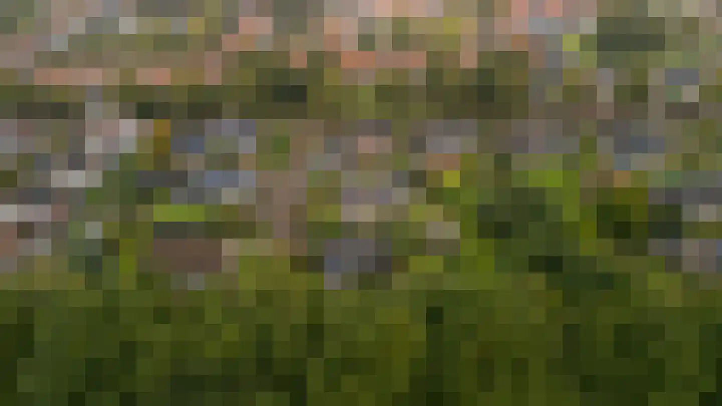 Parksingel 40 Biddinghuizen thumbnail 49
