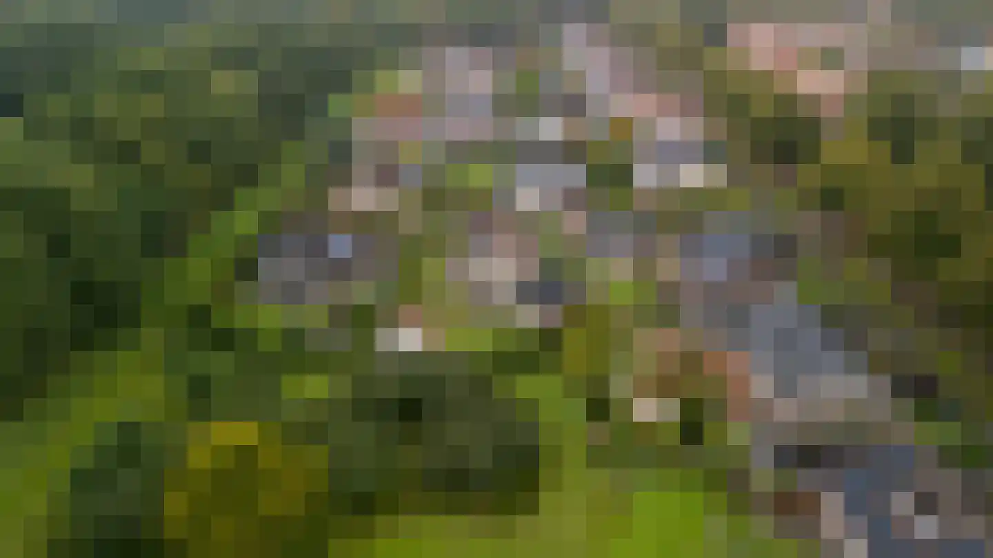 Parksingel 40 Biddinghuizen thumbnail 51