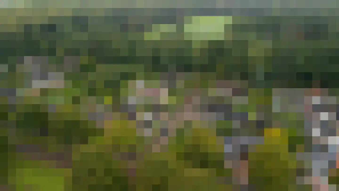 Parksingel 40 Biddinghuizen thumbnail 52