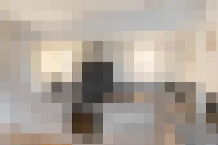 Parksingel 44 Appingedam thumbnail 14