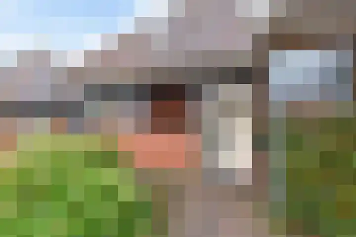 Parksingel 44 Appingedam thumbnail 4