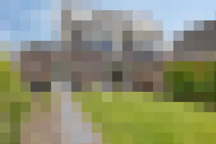 Parksingel 44 Appingedam thumbnail 8