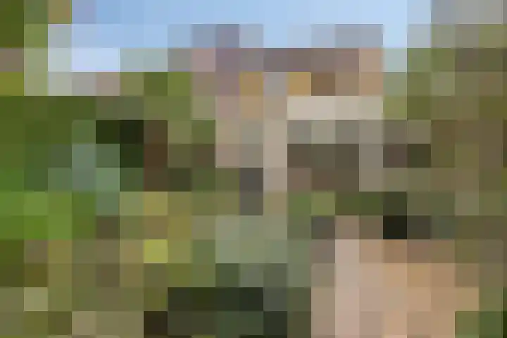 Parksingel 49 Biddinghuizen thumbnail 28