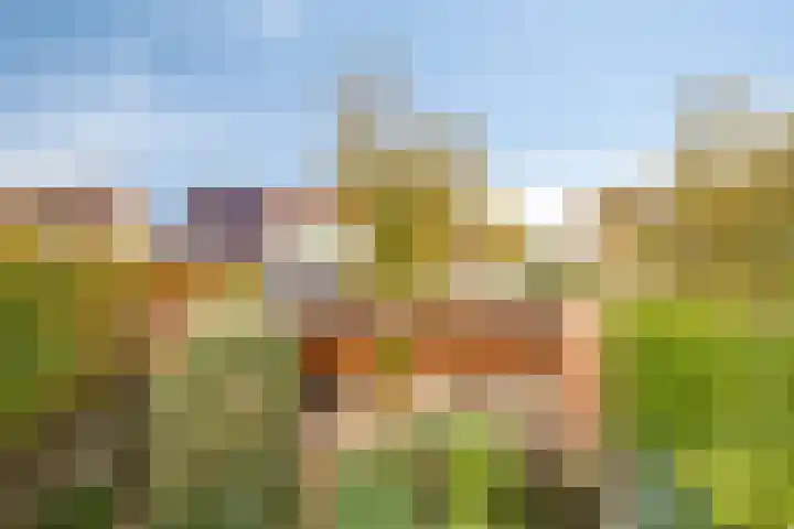 Parksingel 49 Biddinghuizen thumbnail 30