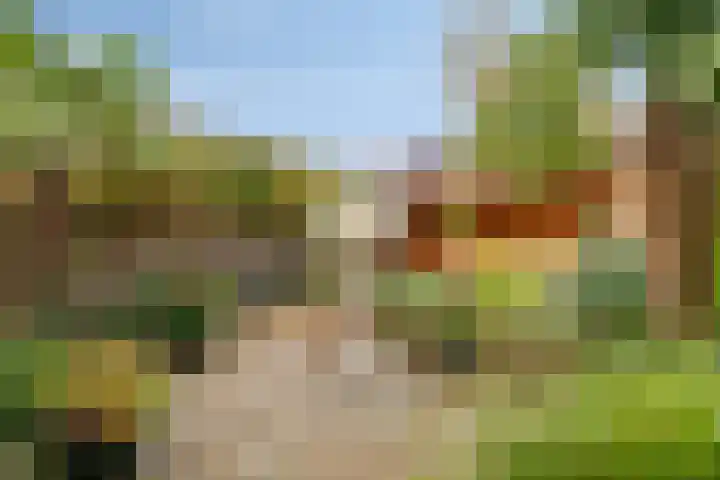 Parksingel 49 Biddinghuizen thumbnail 31