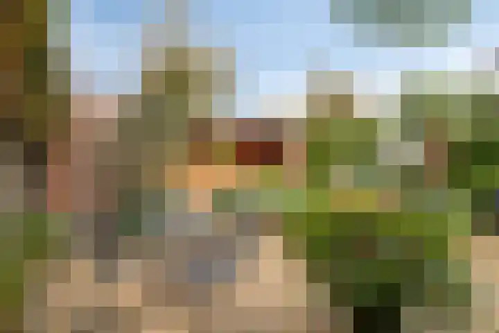 Parksingel 49 Biddinghuizen thumbnail 32