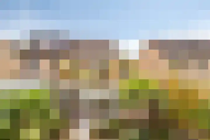 Parksingel 49 Biddinghuizen thumbnail 4