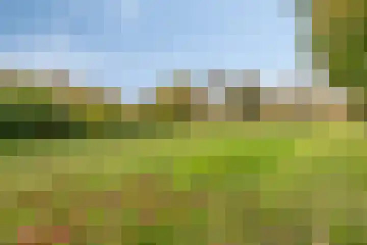 Parksingel 49 Biddinghuizen thumbnail 40