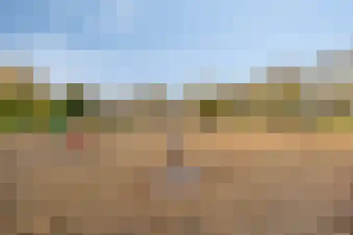 Parksingel 49 Biddinghuizen thumbnail 41