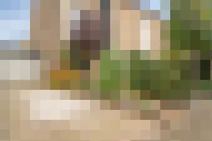 Parksingel 49 Biddinghuizen thumbnail 6