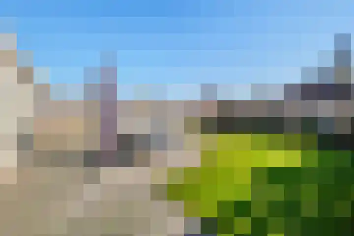 Parksingel 70 Biddinghuizen thumbnail 22