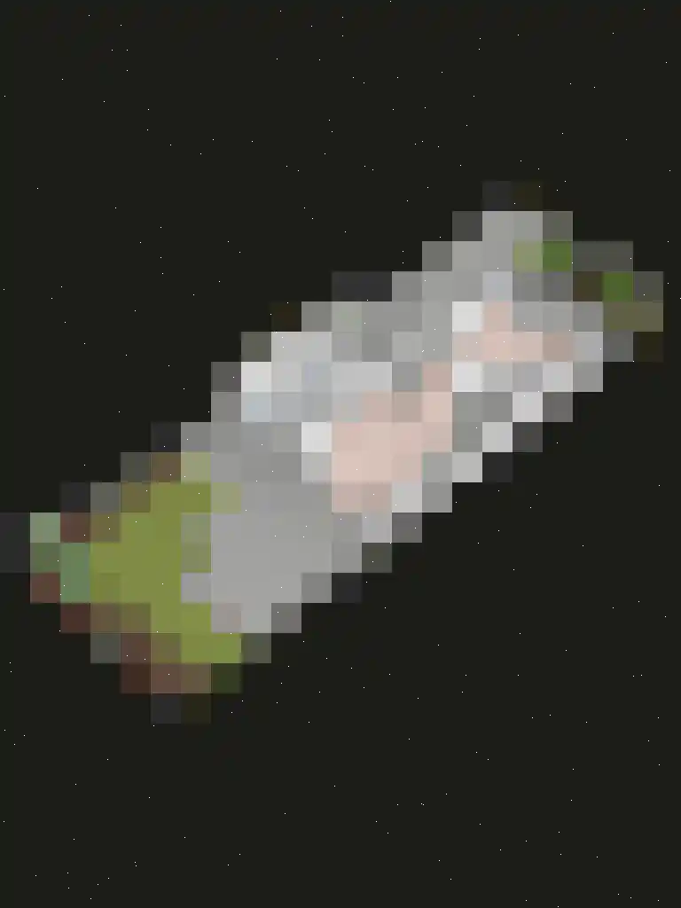Parksingel 70 Biddinghuizen thumbnail 31