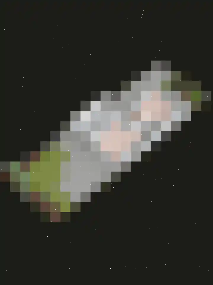 Parksingel 70 Biddinghuizen thumbnail 31