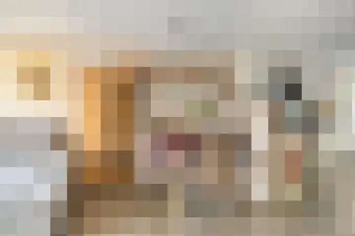 Parksingel 93 Bemmel thumbnail 12