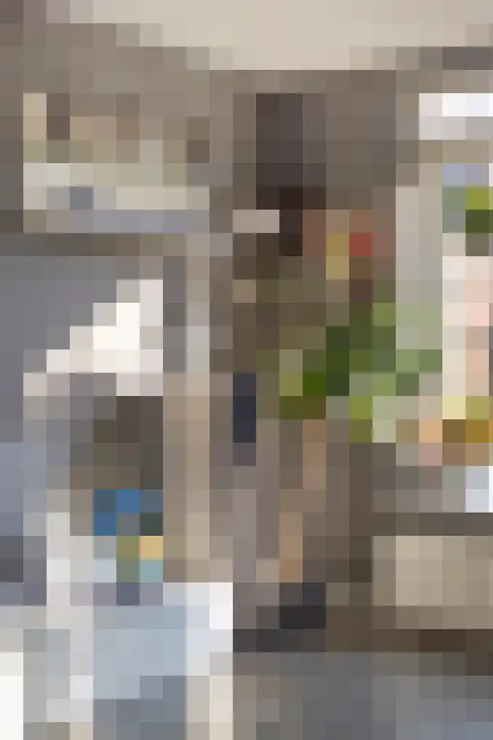 Parksingel 93 Bemmel thumbnail 15