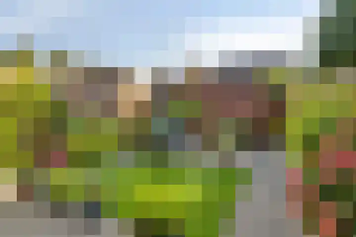 Parksingel 93 Bemmel thumbnail 29