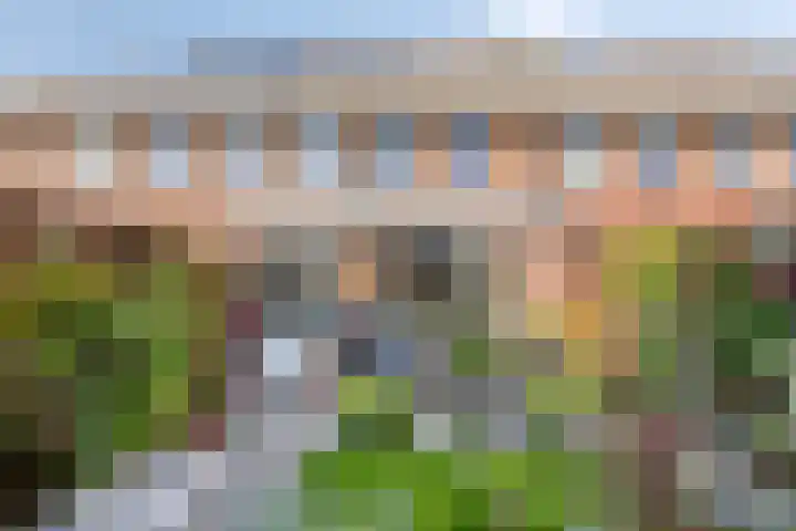 Parksingel 93 Bemmel thumbnail 30