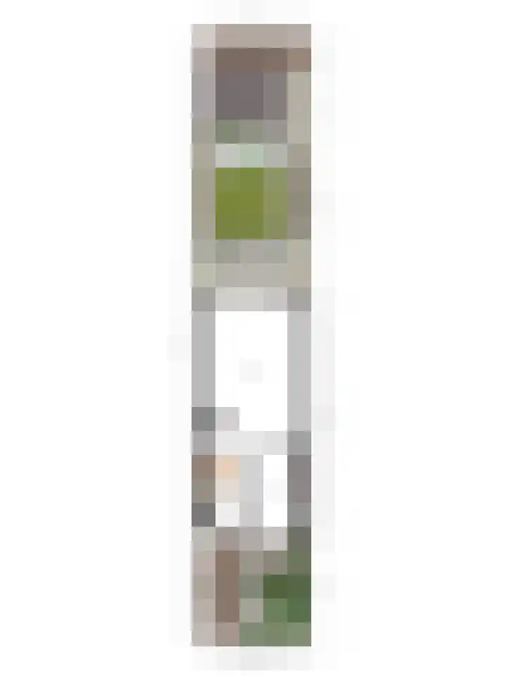 Parksingel 93 Bemmel thumbnail 33
