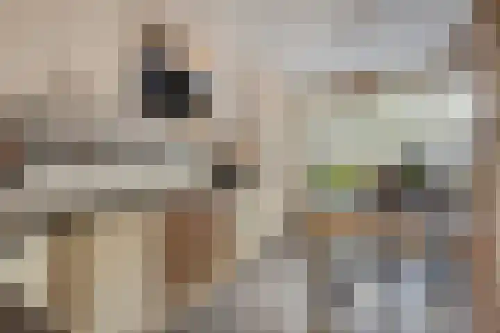 Parksingel 93 Bemmel thumbnail 8