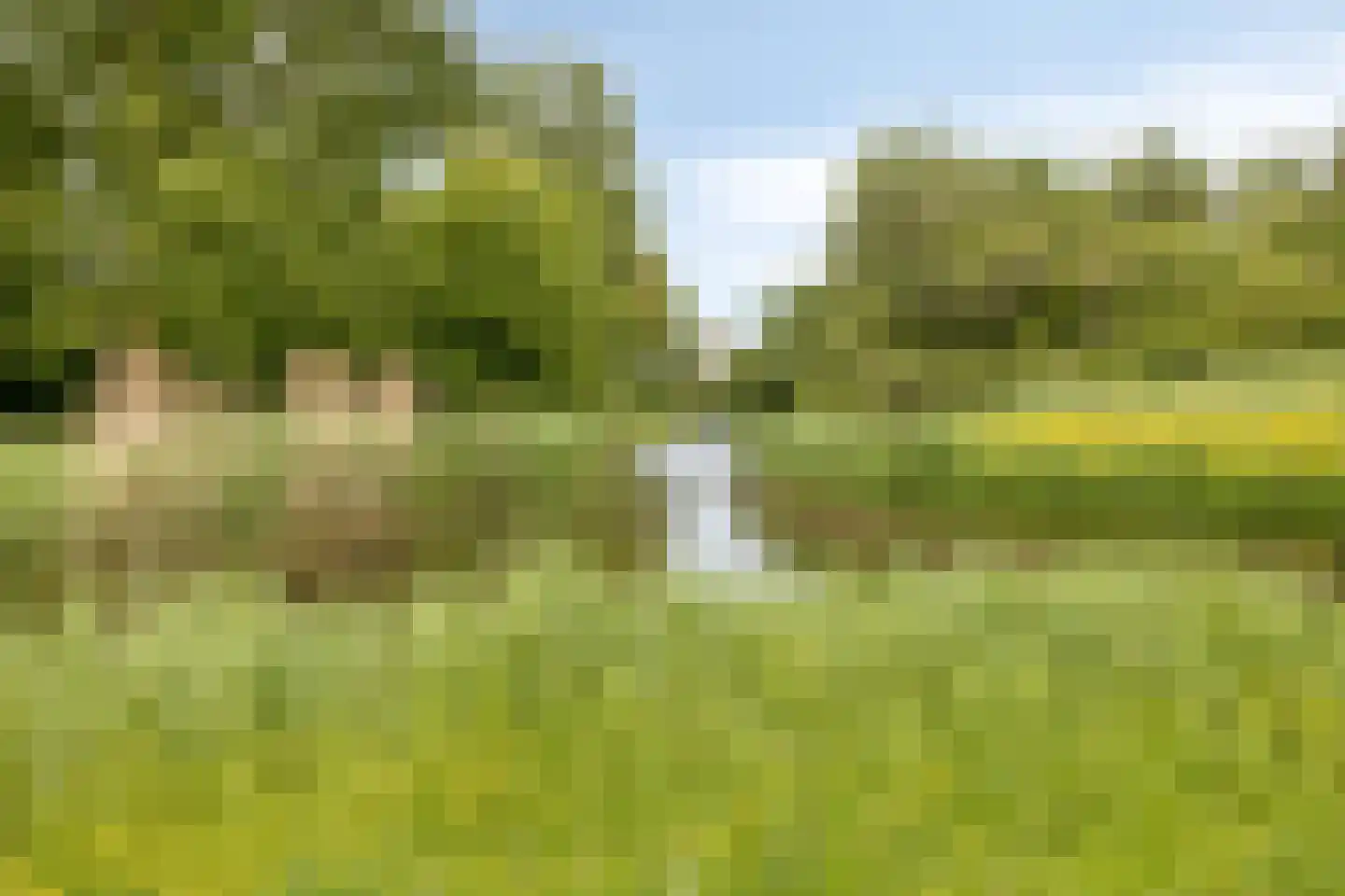 Parkstee 179 Purmerend thumbnail 25