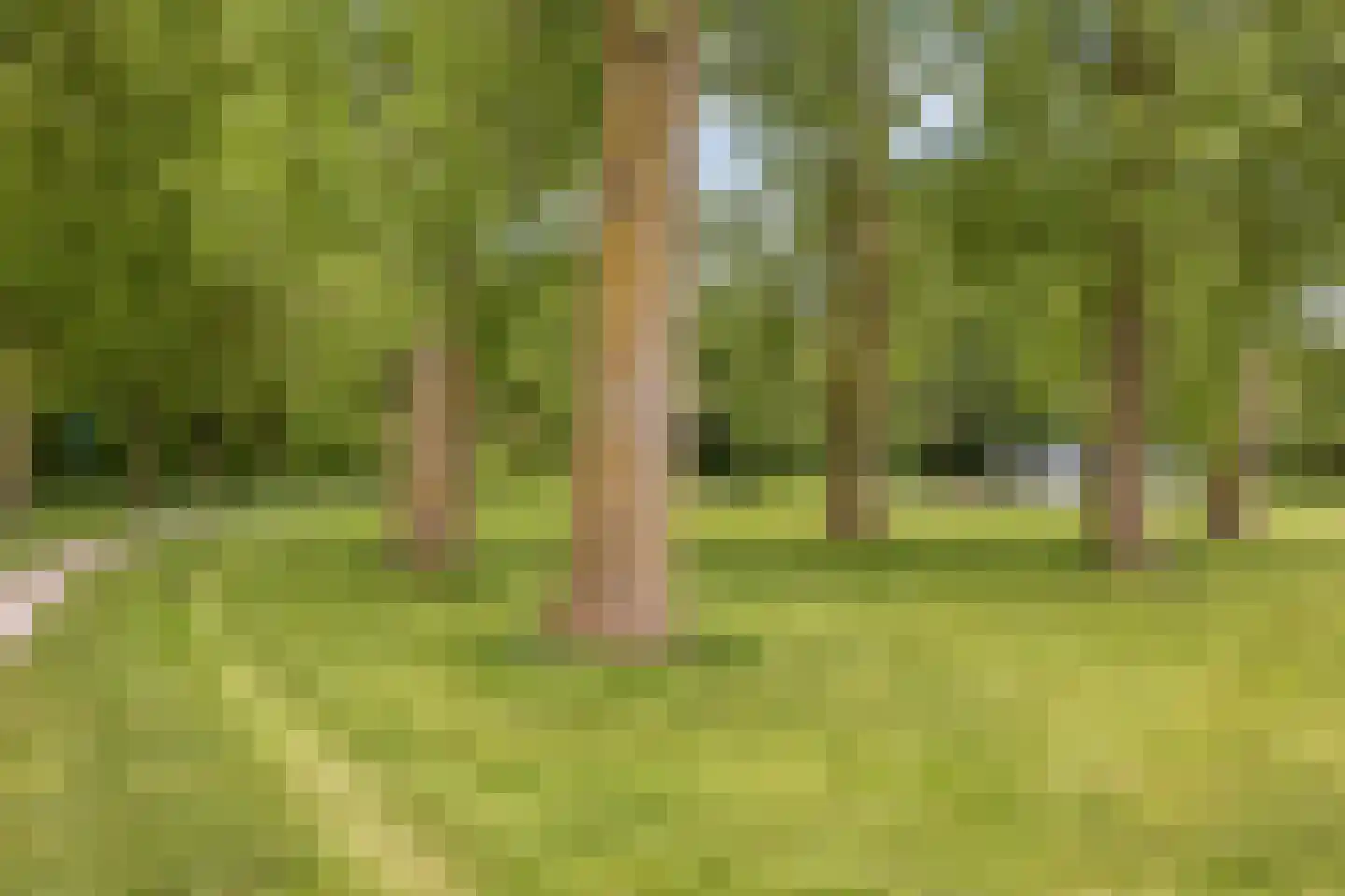 Parkstee 179 Purmerend thumbnail 26