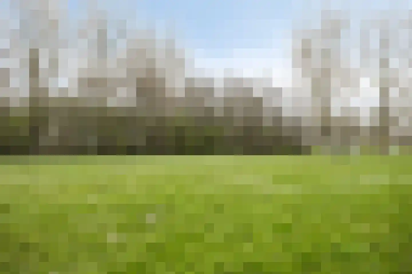 Parkstee 221 Purmerend thumbnail 32