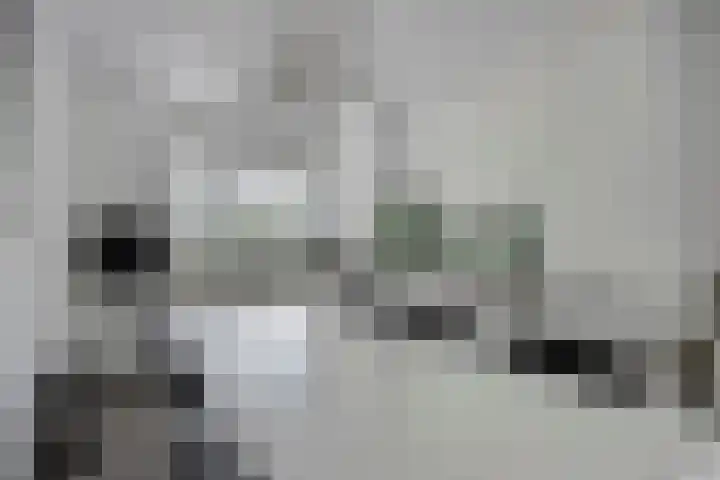 Parkstee 227 Purmerend thumbnail 19