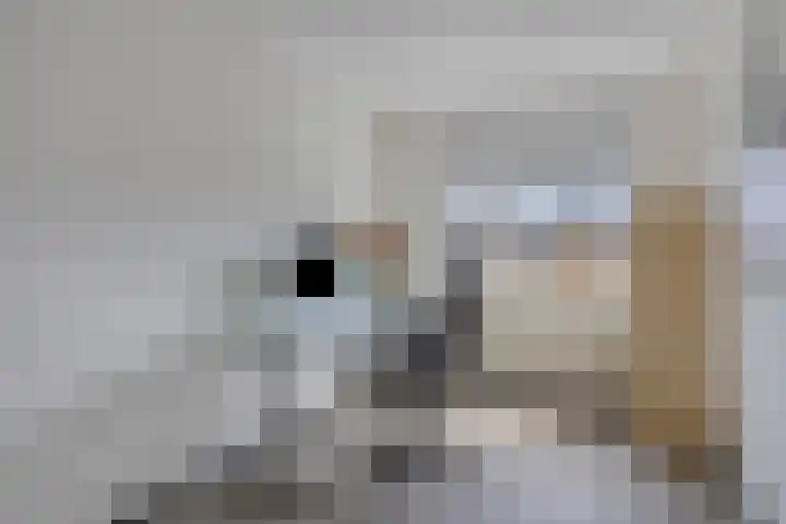 Parkstee 227 Purmerend thumbnail 27