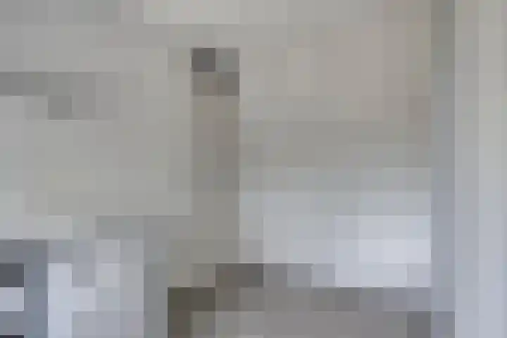 Parkstee 227 Purmerend thumbnail 29