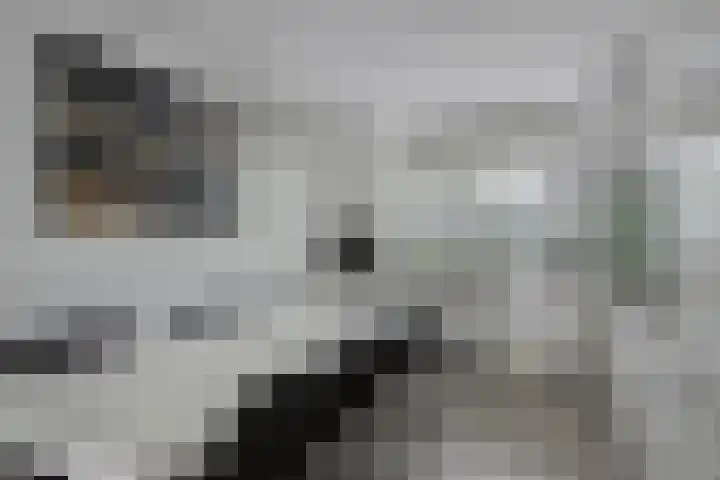 Parkstee 227 Purmerend thumbnail 4