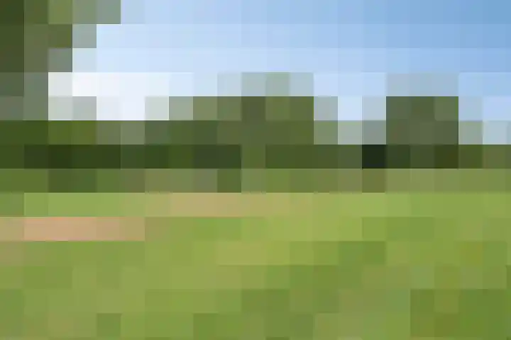 Parkstee 227 Purmerend thumbnail 44