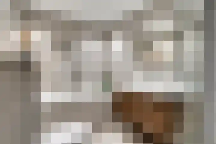 Parkstee 38 Purmerend thumbnail 20