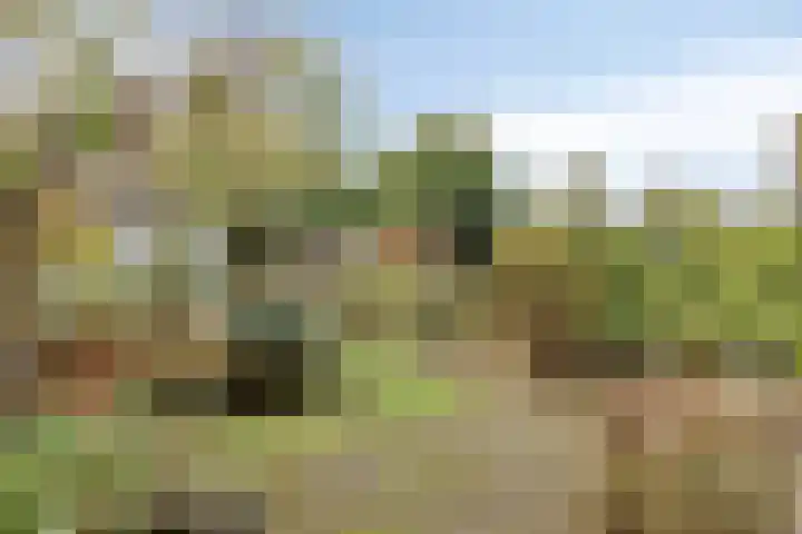 Parkstee 38 Purmerend thumbnail 34