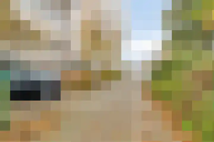 Parkstee 38 Purmerend thumbnail 36