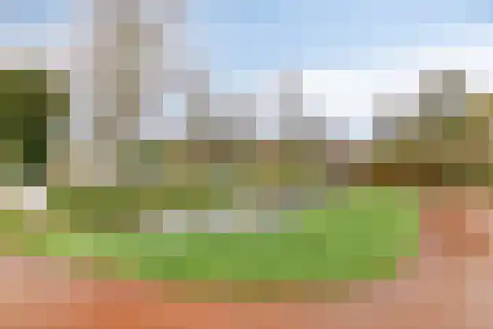 Parkstee 38 Purmerend thumbnail 37