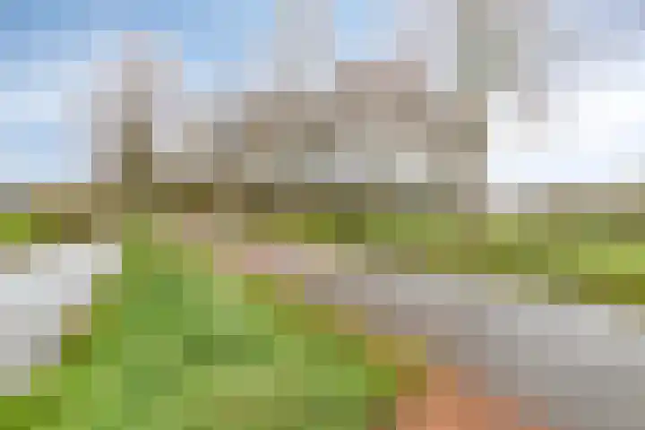 Parkstee 38 Purmerend thumbnail 38