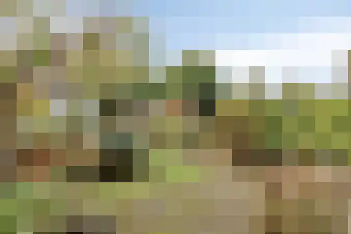 Parkstee 38 Purmerend thumbnail 5
