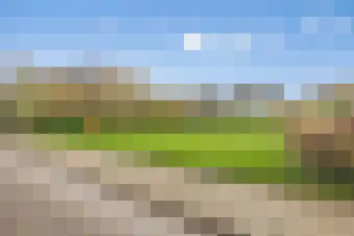 Parkstee 49 Purmerend foto 3