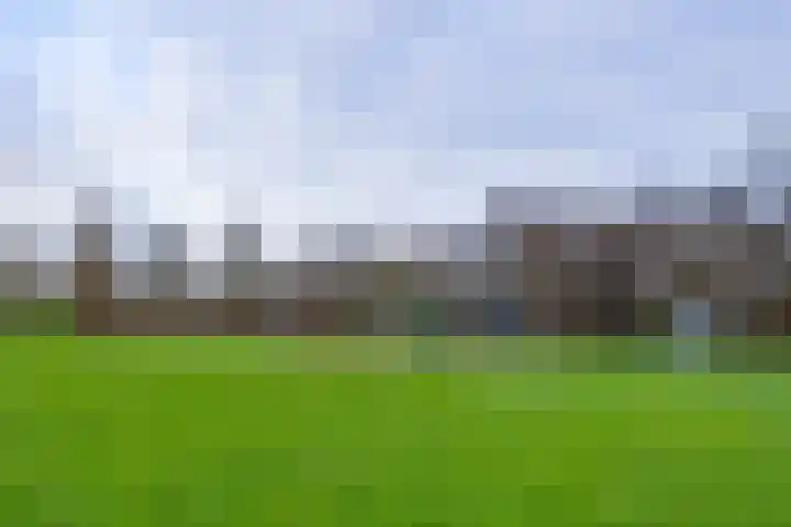 Parkstee 49 Purmerend thumbnail 32