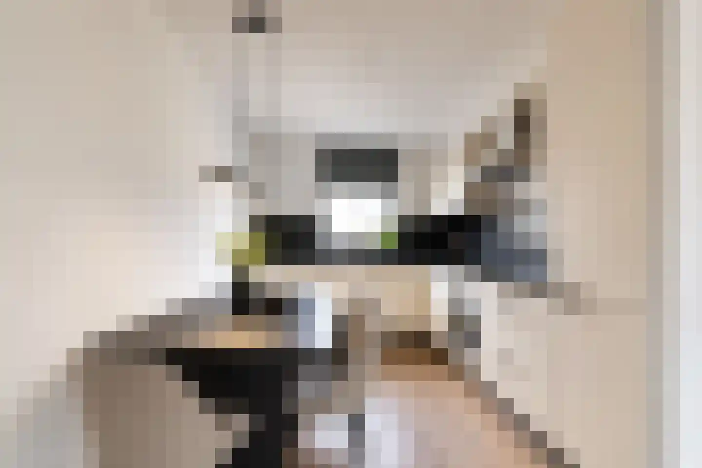 Parkstee 53 Purmerend thumbnail 5