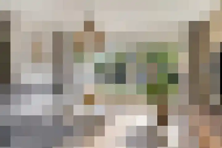 Parkstee 8 Purmerend thumbnail 10
