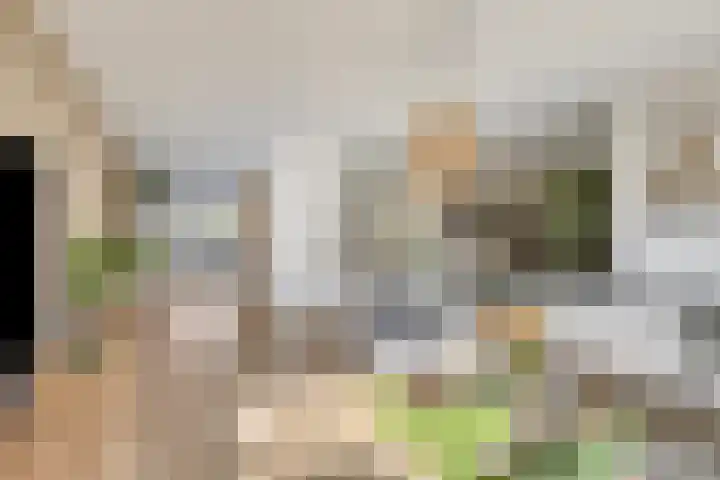 Parkstee 8 Purmerend thumbnail 13