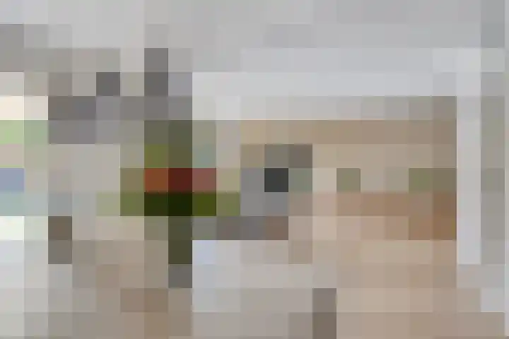 Parkstee 8 Purmerend thumbnail 15