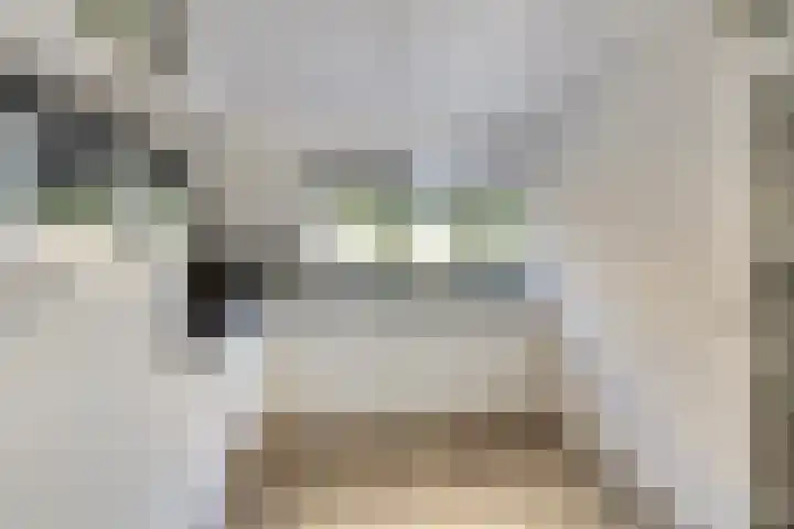 Parkstee 8 Purmerend thumbnail 16