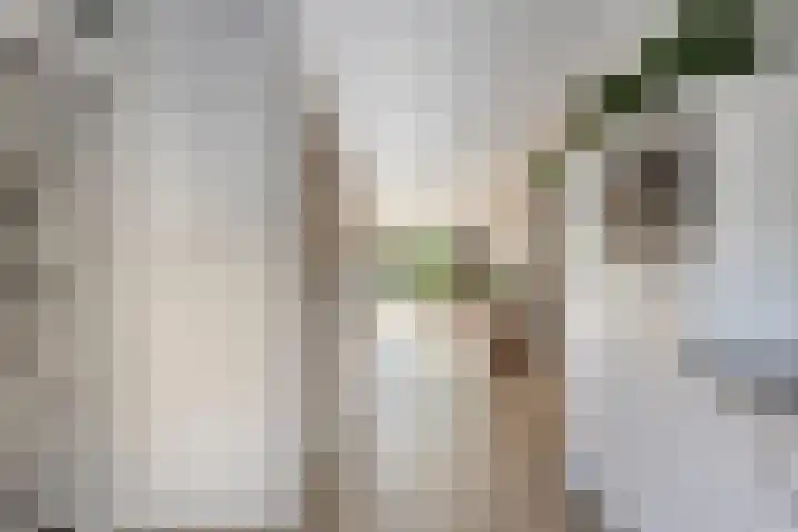 Parkstee 8 Purmerend thumbnail 17