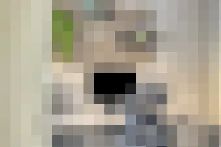 Parkstee 8 Purmerend thumbnail 18